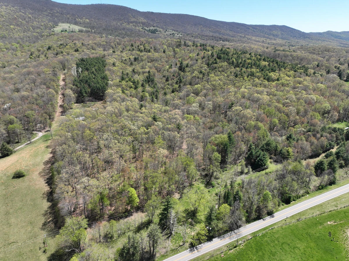 1120 Sam Snead Highway - Photo 28