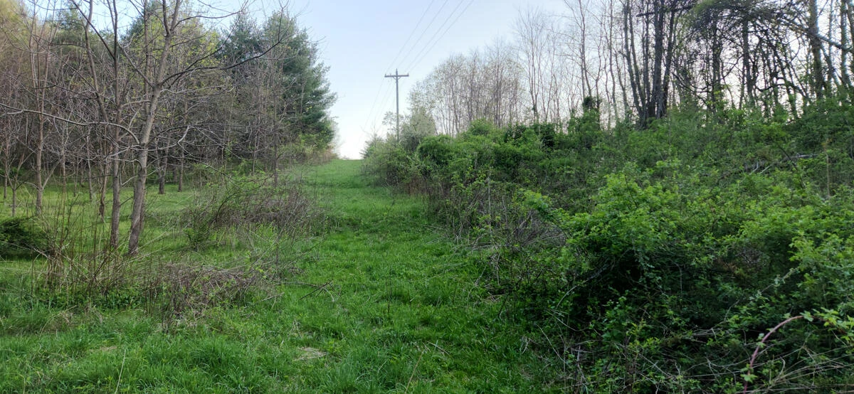 1120 Sam Snead Highway - Photo 29