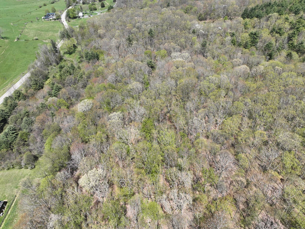 1120 Sam Snead Highway - Photo 3