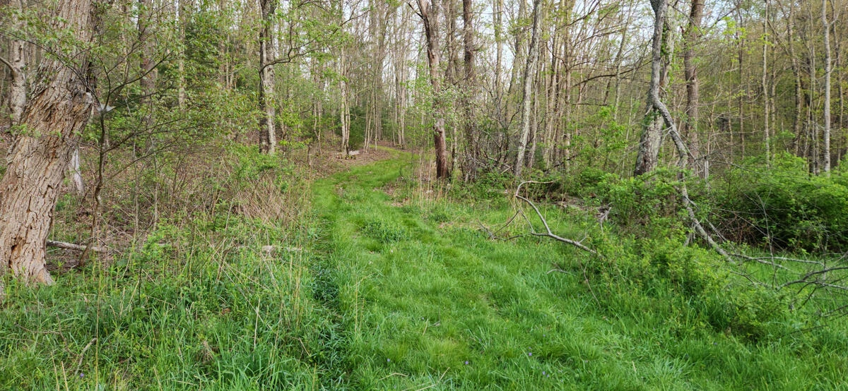 1120 Sam Snead Highway - Photo 30