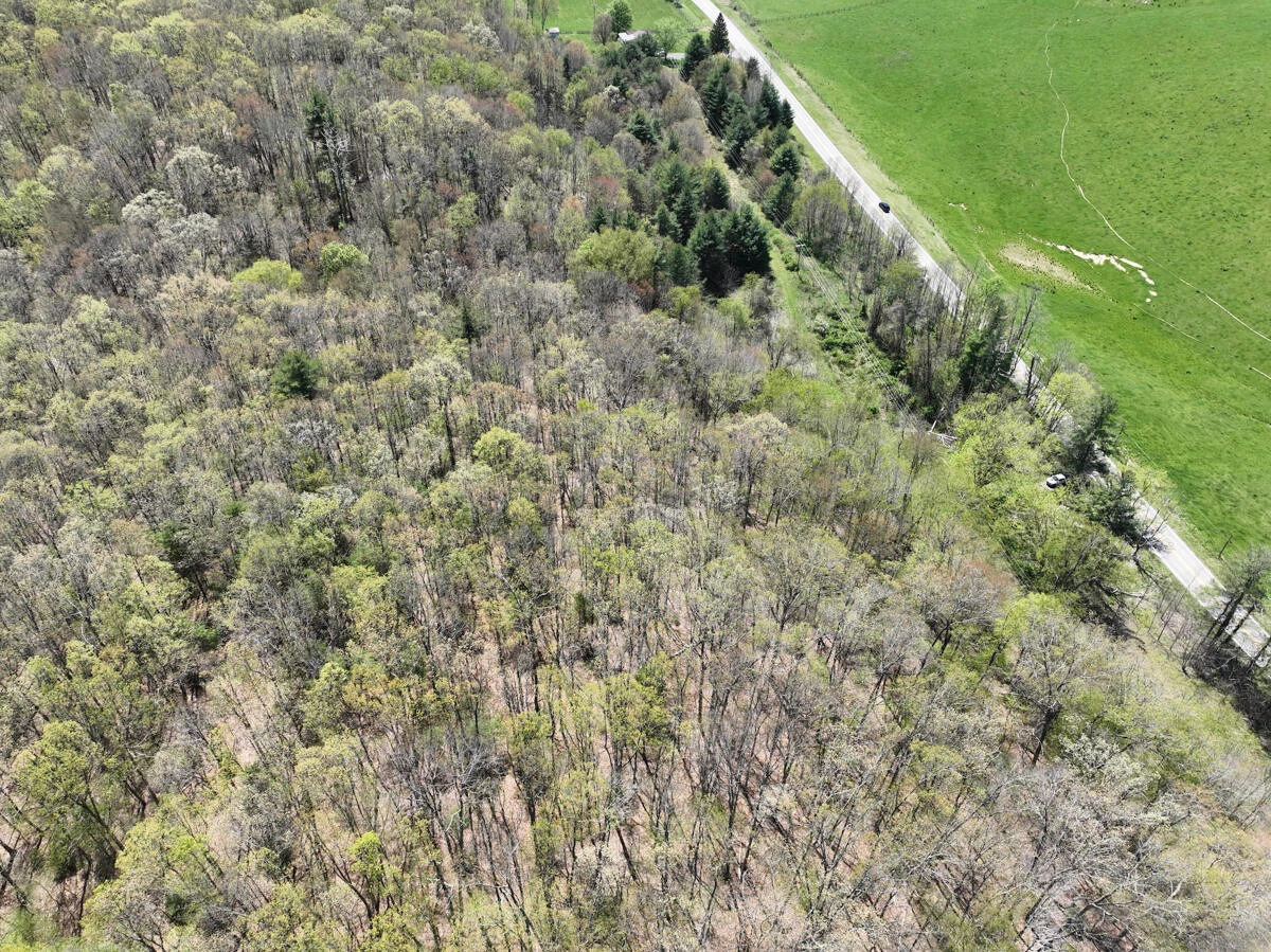 1120 Sam Snead Highway - Photo 31