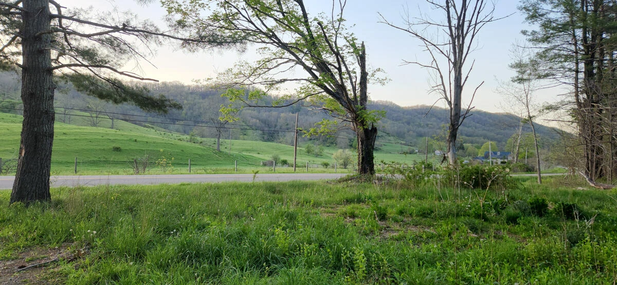 1120 Sam Snead Highway - Photo 32