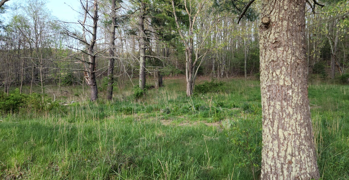 1120 Sam Snead Highway - Photo 33