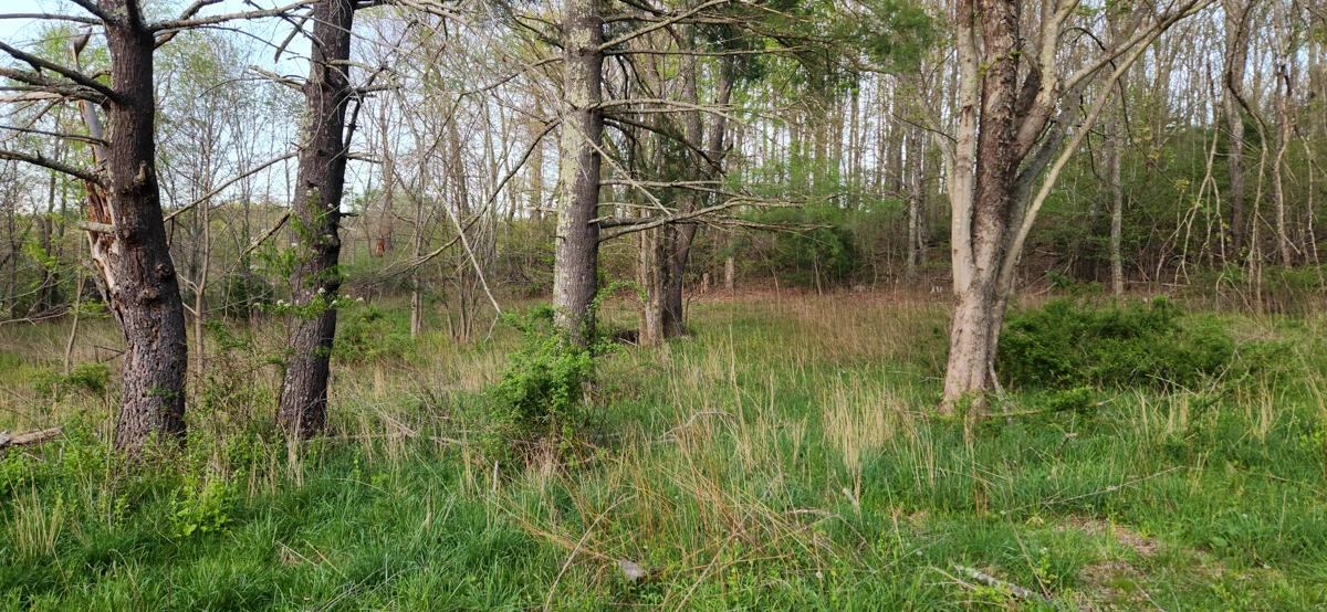 1120 Sam Snead Highway - Photo 35