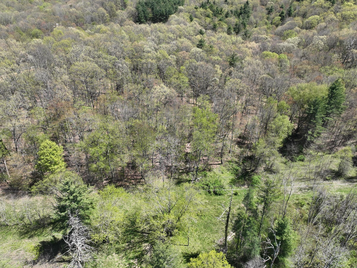 1120 Sam Snead Highway - Photo 38