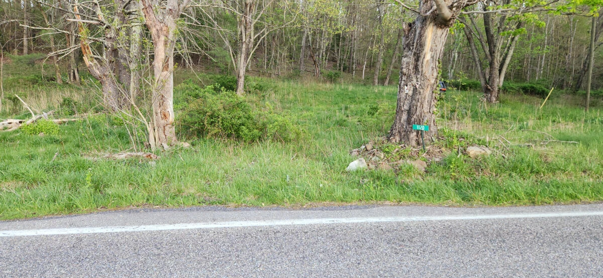 1120 Sam Snead Highway - Photo 4