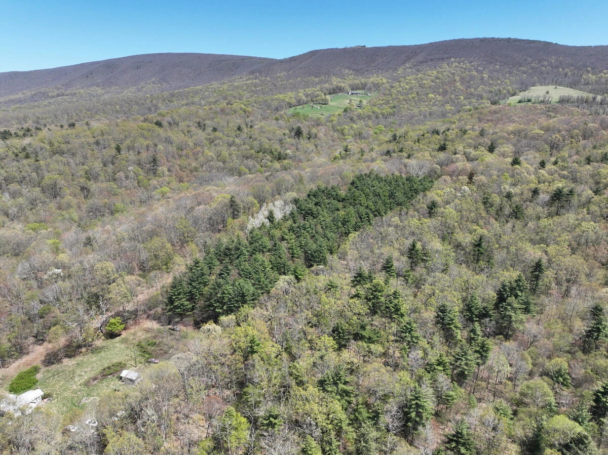 1120 Sam Snead Highway - Photo 42