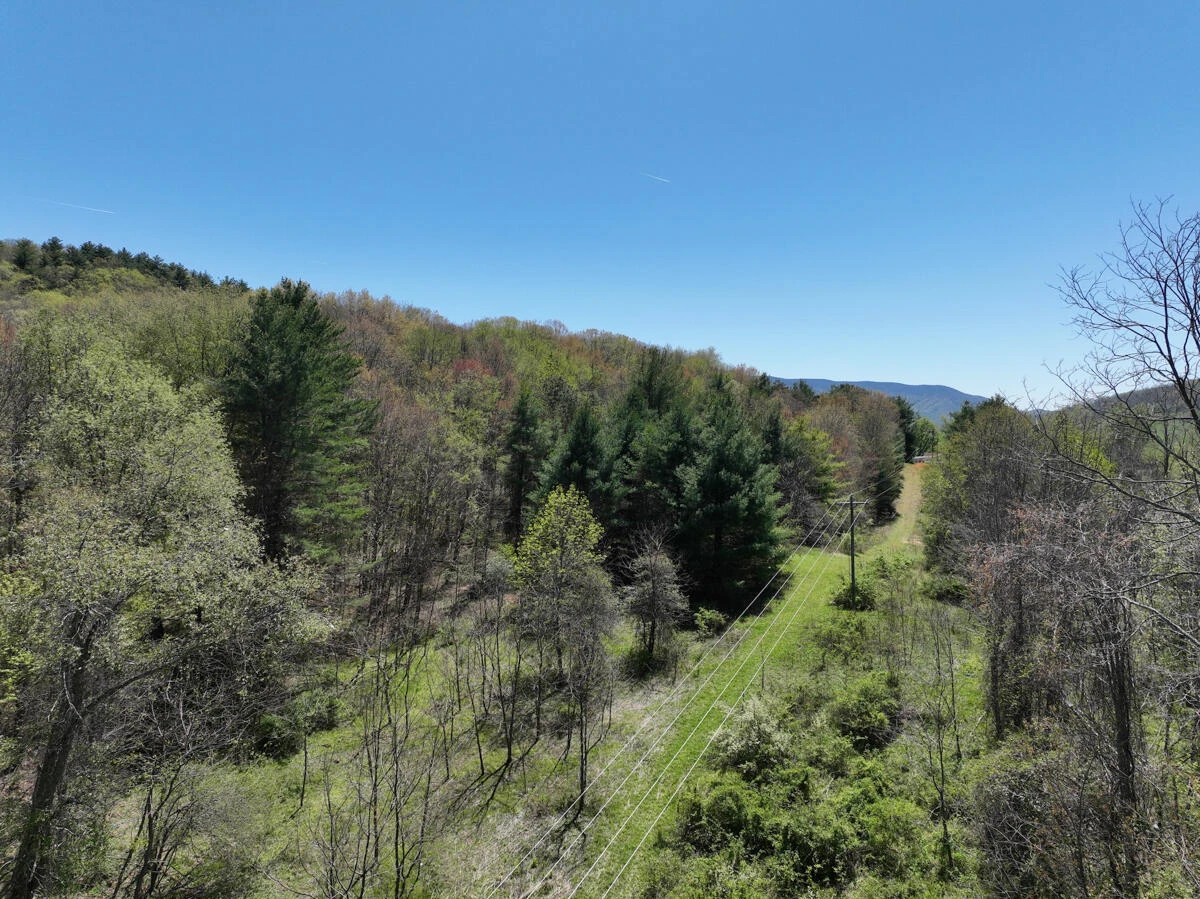 1120 Sam Snead Highway - Photo 48