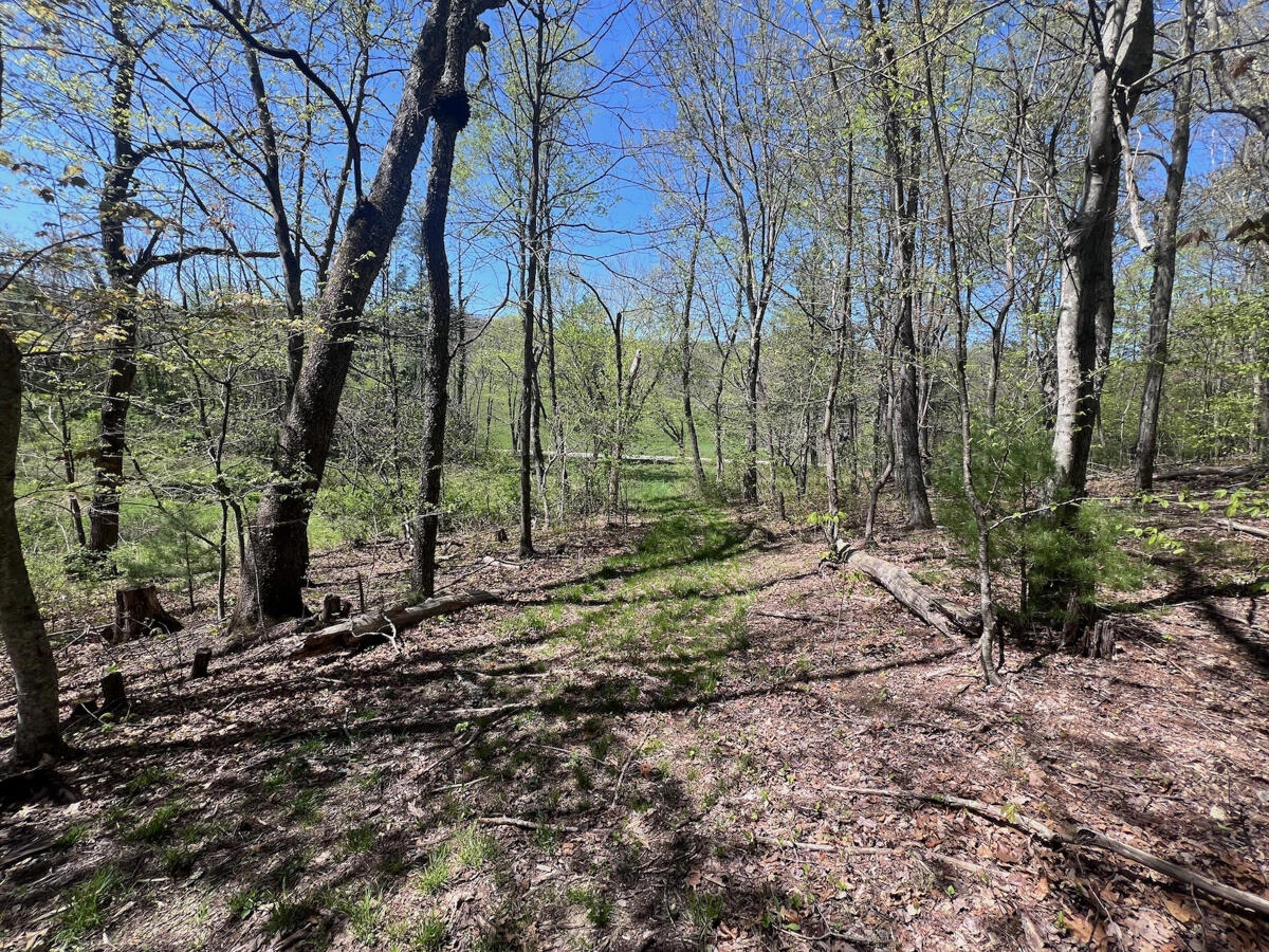 1120 Sam Snead Highway - Photo 50