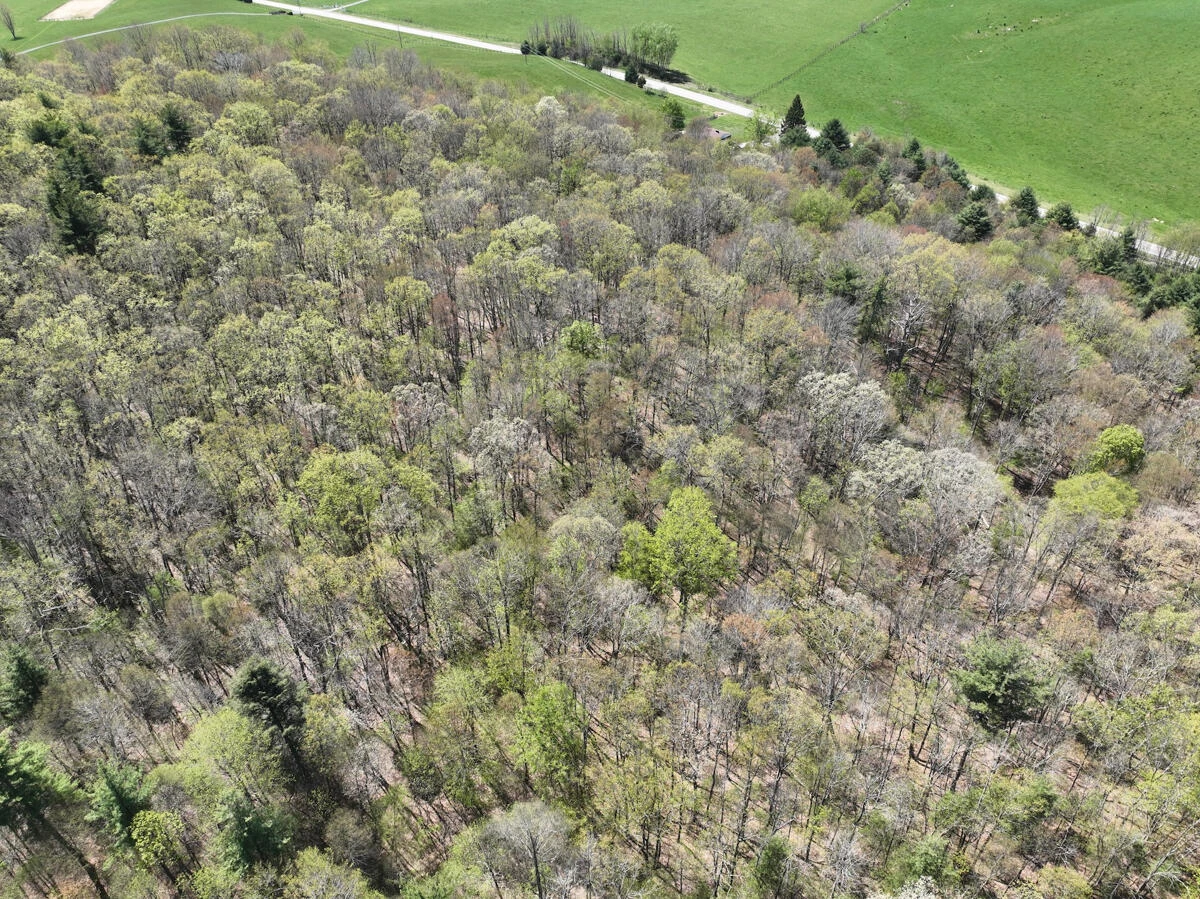 1120 Sam Snead Highway - Photo 53