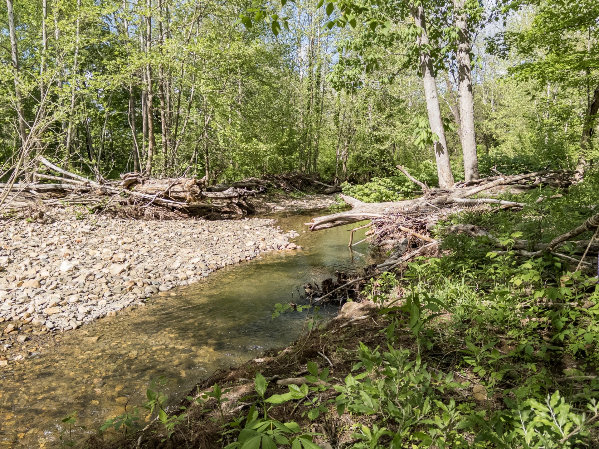 4414 Dunlap Creek Rd - Photo 19
