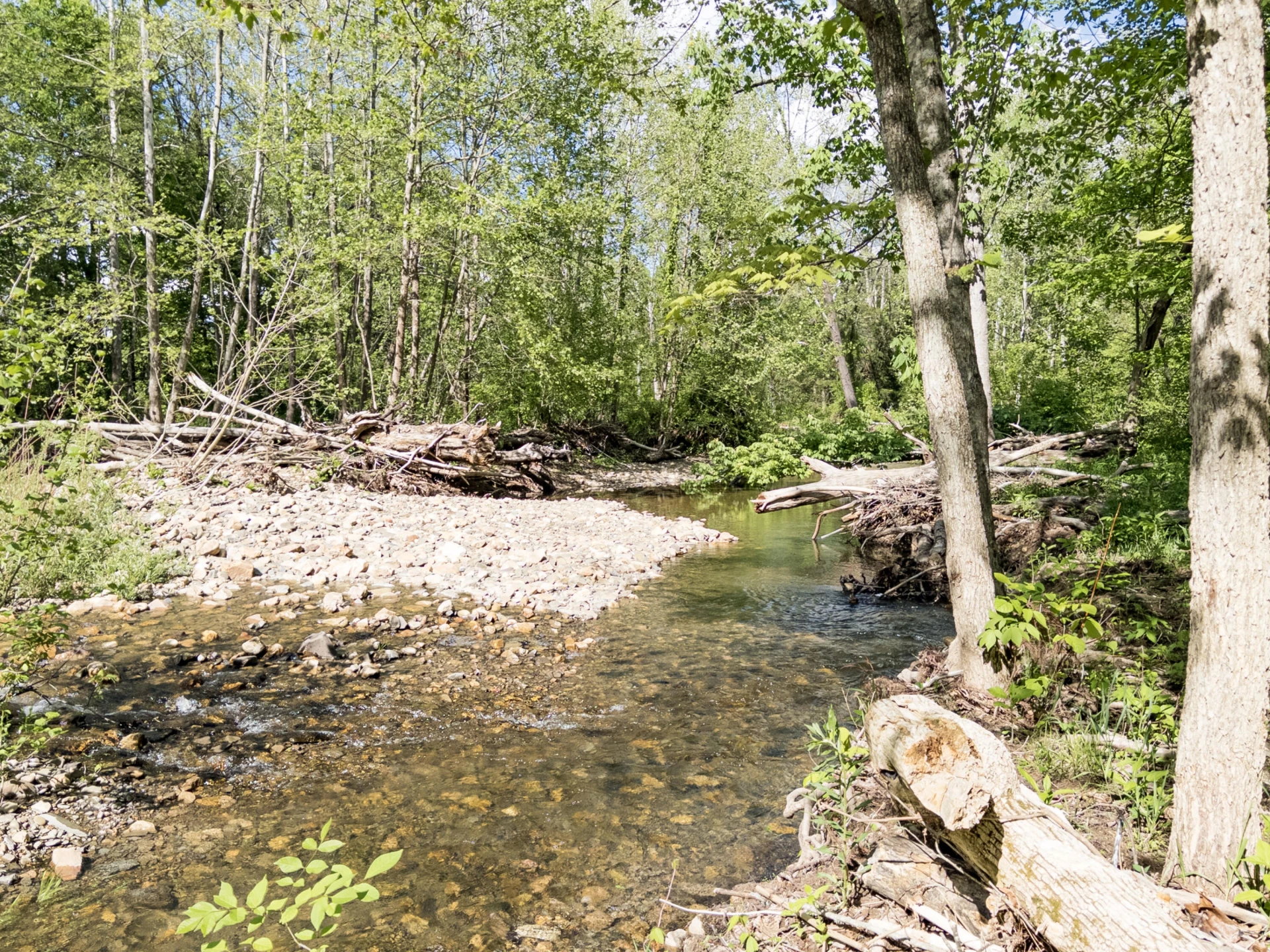 4414 Dunlap Creek Rd - Photo 20