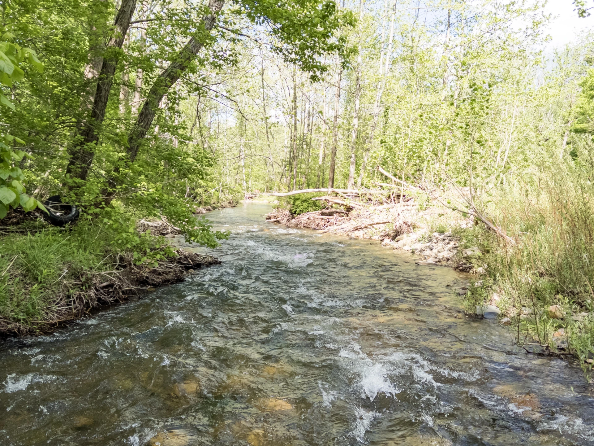 4414 Dunlap Creek Rd - Photo 21