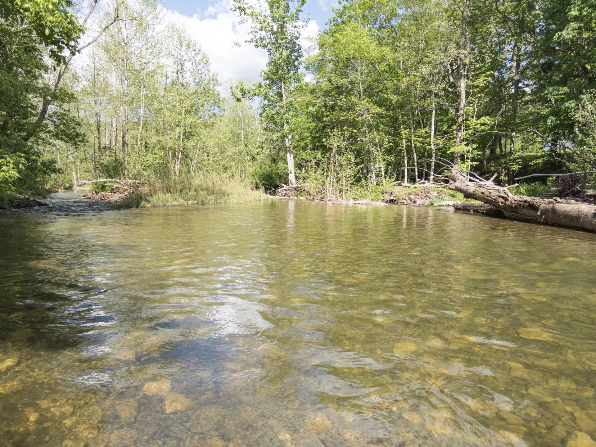 4414 Dunlap Creek Rd - Photo 23