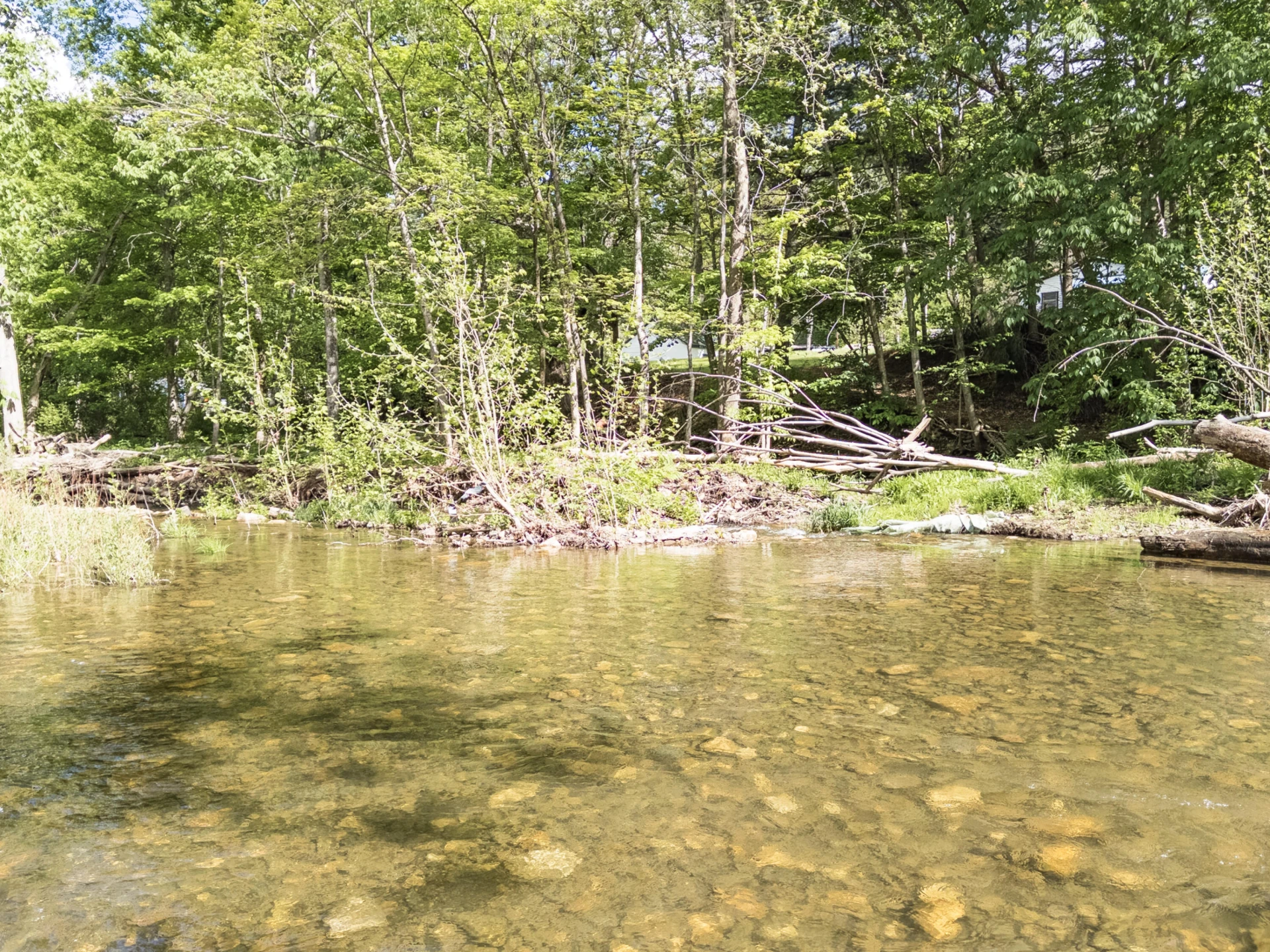 4414 Dunlap Creek Rd - Photo 24