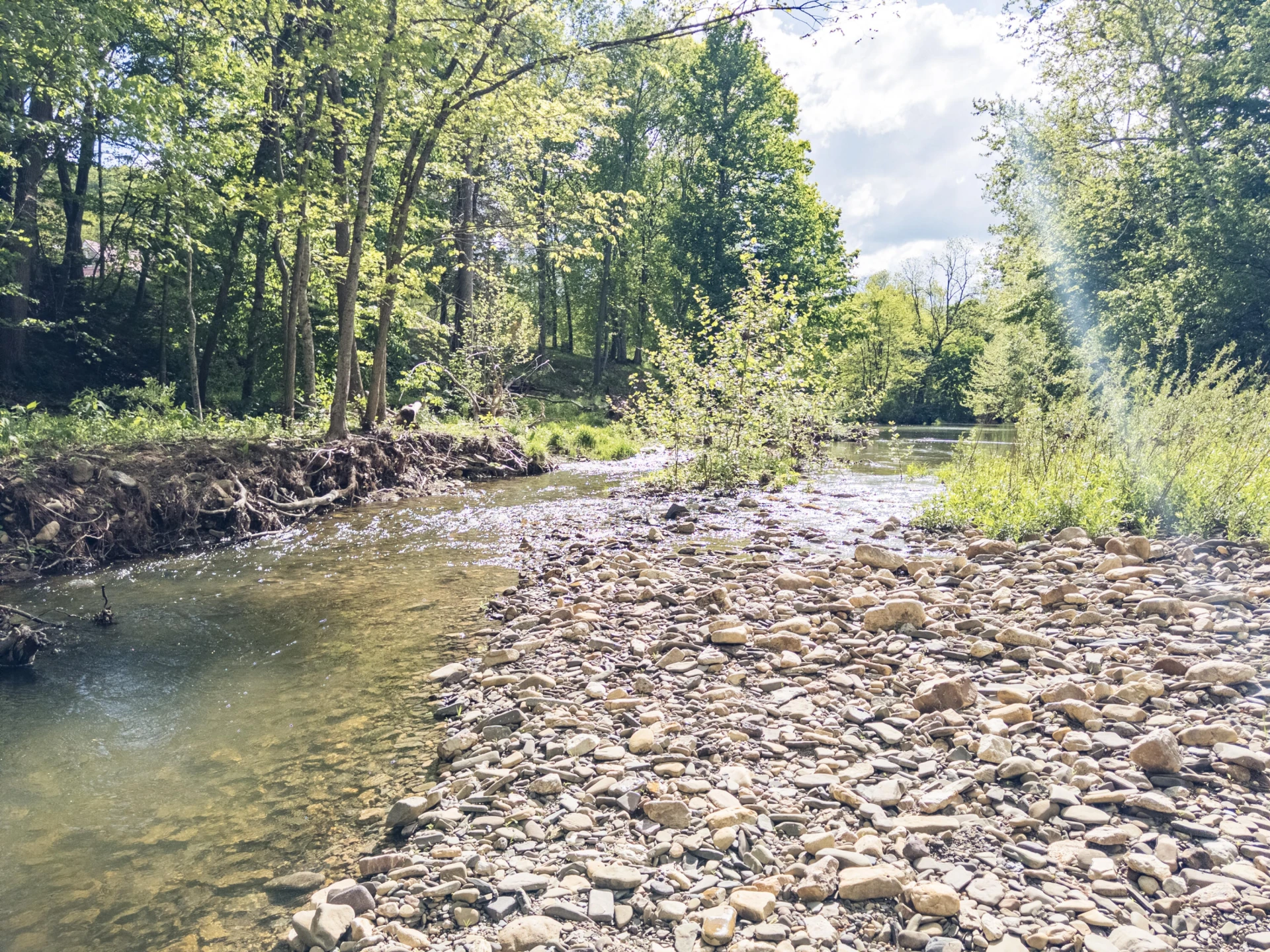 4414 Dunlap Creek Rd - Photo 25