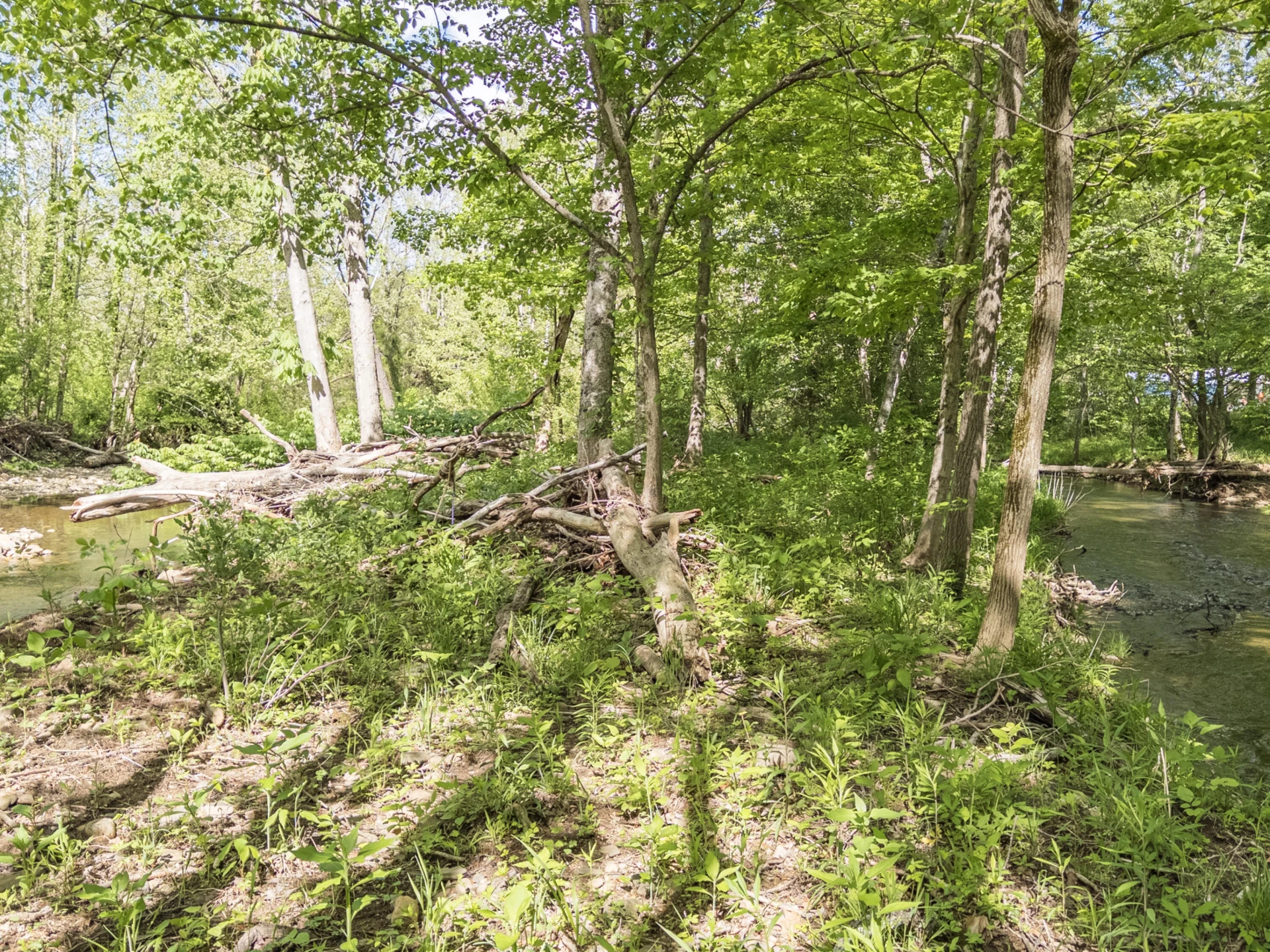 4414 Dunlap Creek Rd - Photo 26