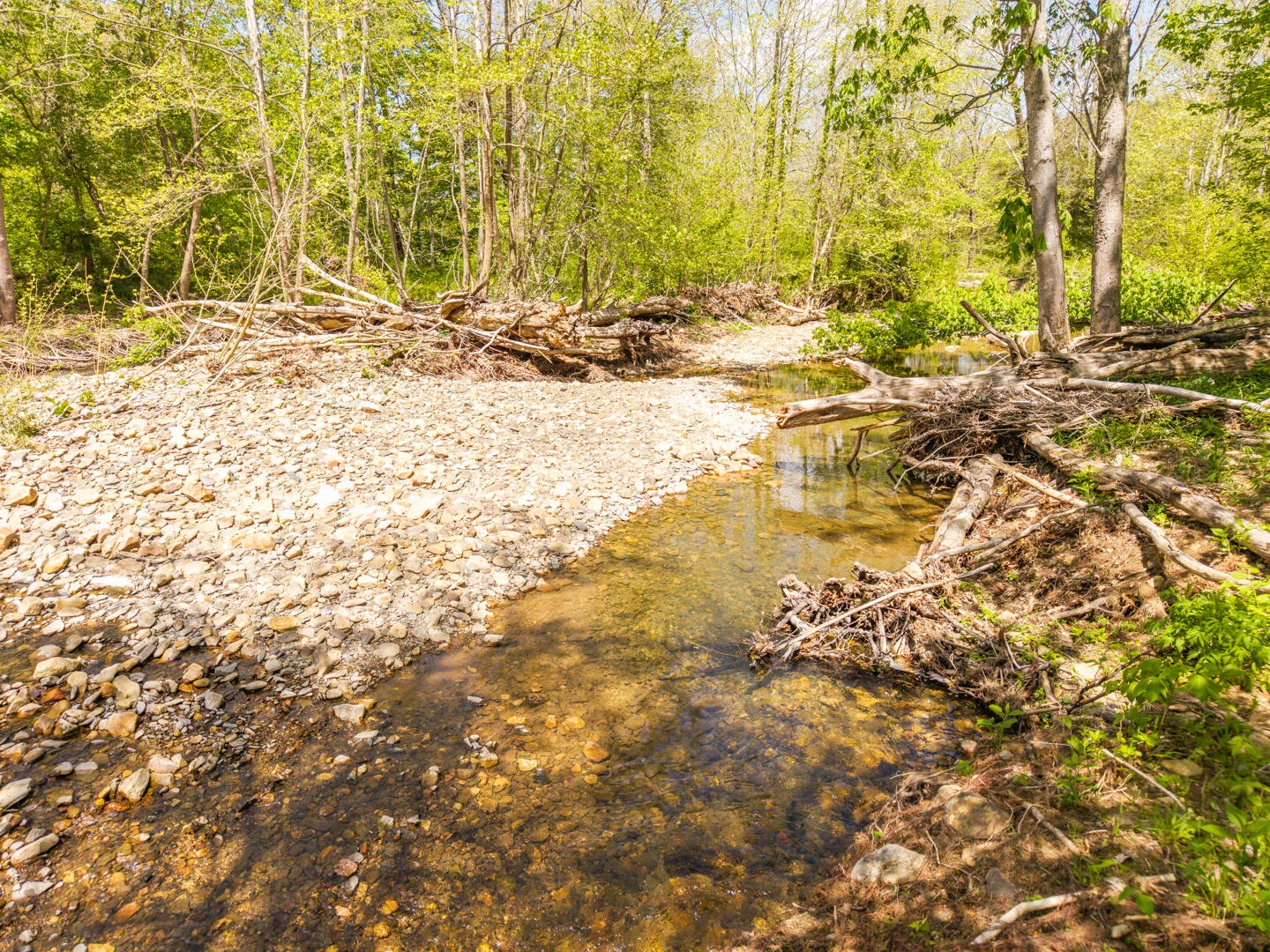 4414 Dunlap Creek Rd - Photo 4