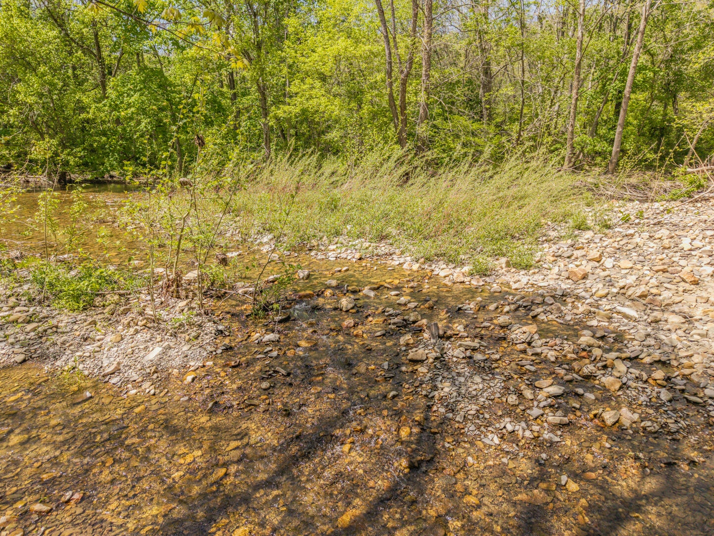 4414 Dunlap Creek Rd - Photo 42