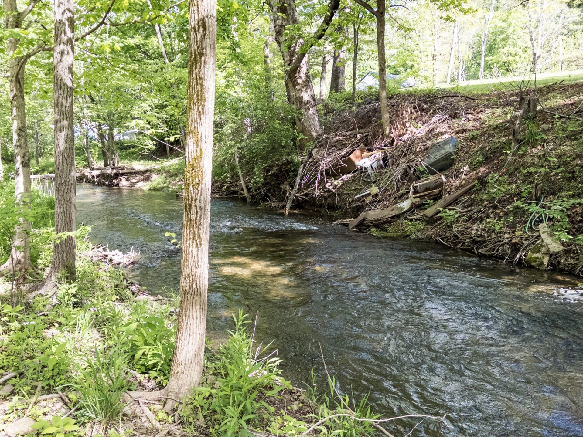 4414 Dunlap Creek Rd - Photo 7