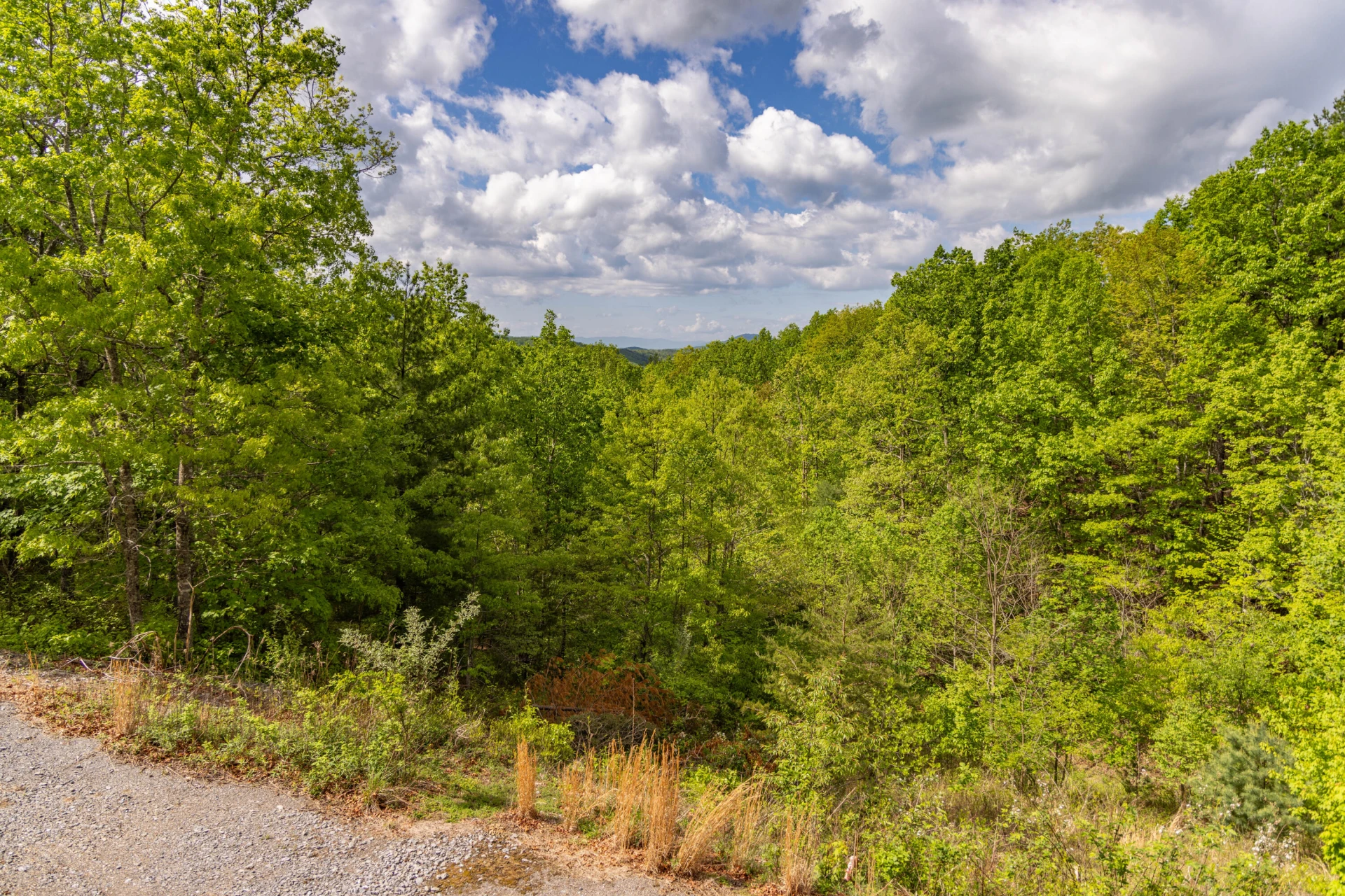 141 Seven Ridges Rd - Photo 37