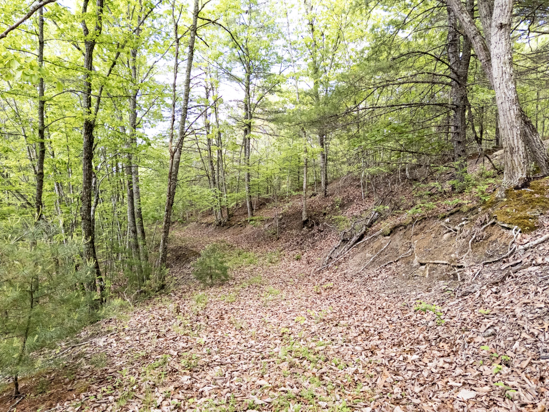 141 Seven Ridges Rd - Photo 44