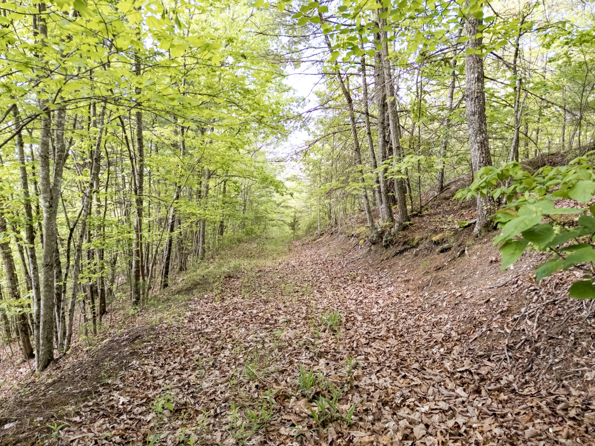 141 Seven Ridges Rd - Photo 45