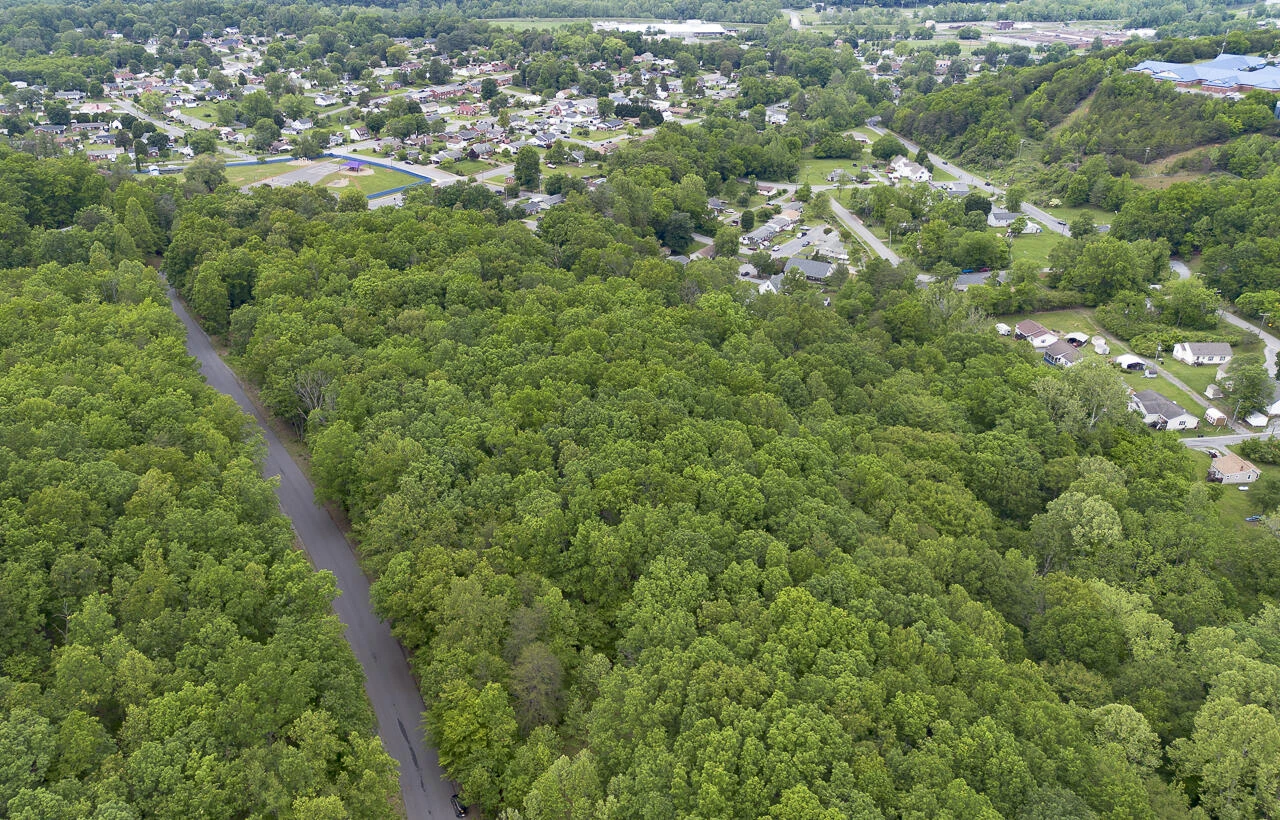 6.03 Acres Woodland Ave - Photo 2