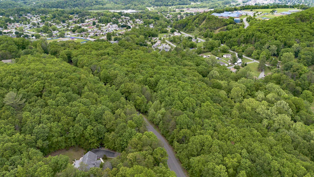 6.03 Acres Woodland Ave - Photo 3