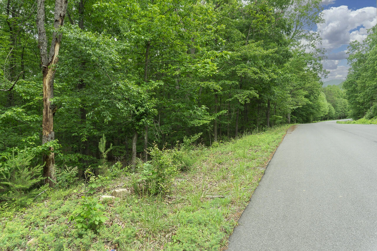 6.03 Acres Woodland Ave - Photo 8