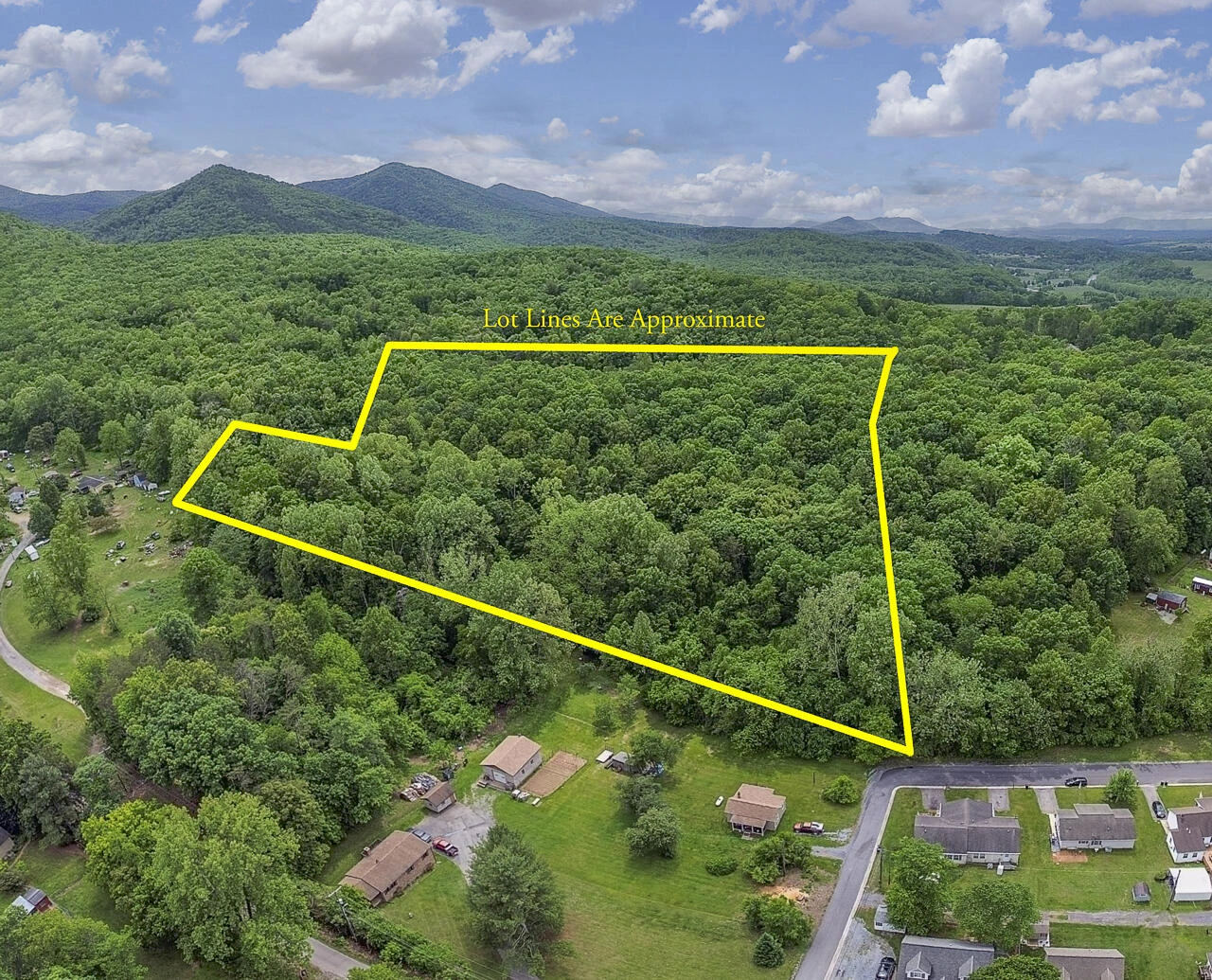 6.03 Acres Woodland Ave - Photo 9