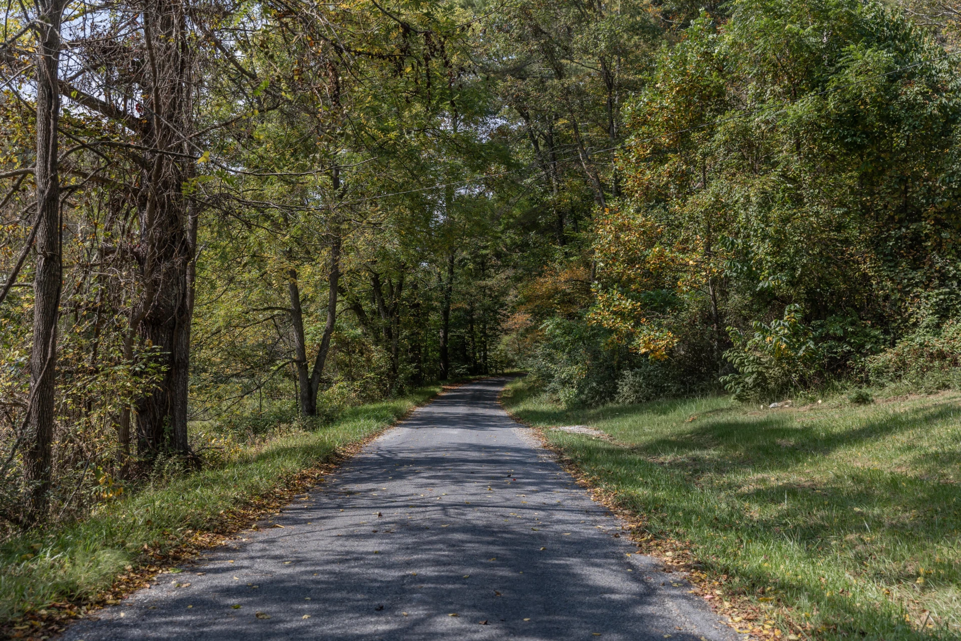 2063 Pedlar River Rd - Photo 4