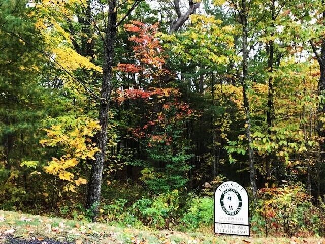 Lot # 20 Sheep Meadow Rd