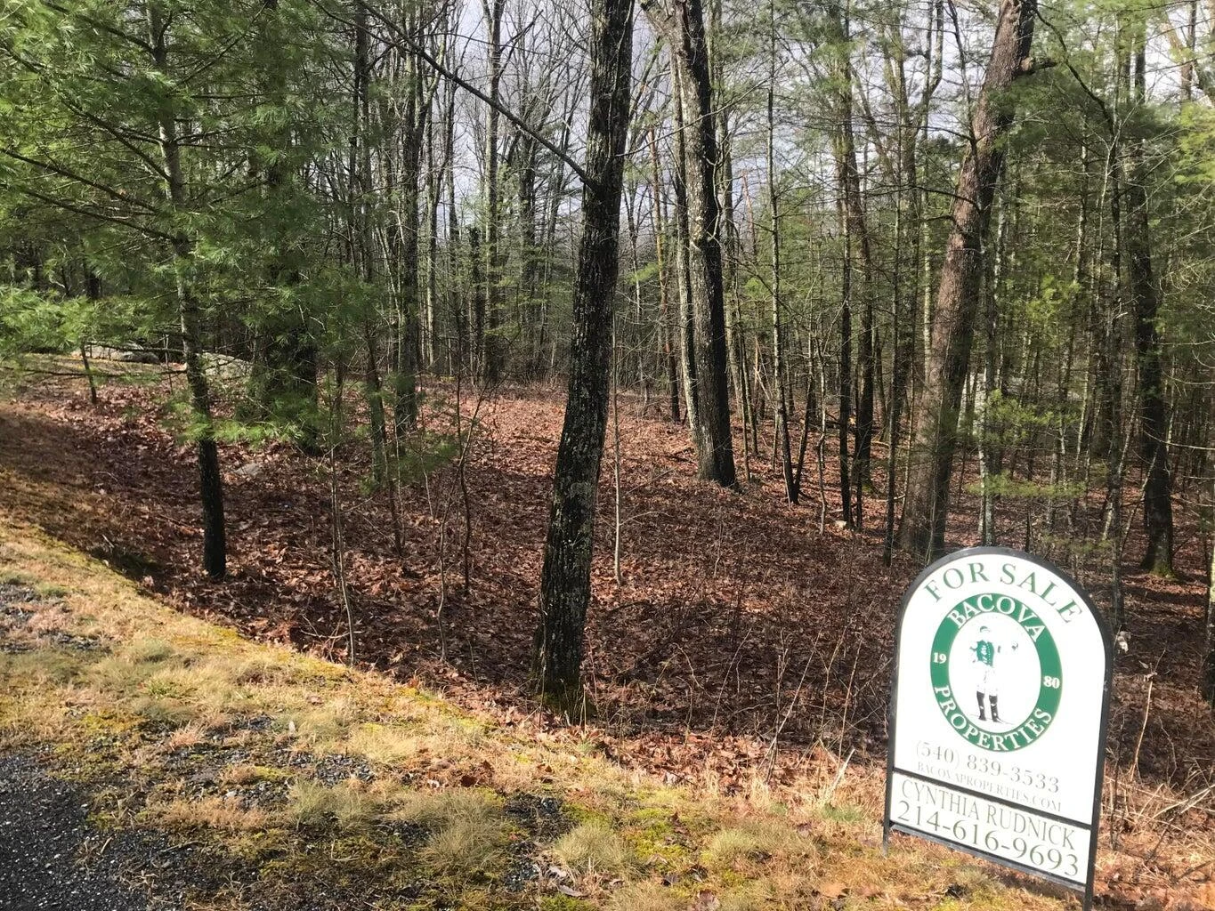 Lot # 20 Sheep Meadow Rd - Photo 4