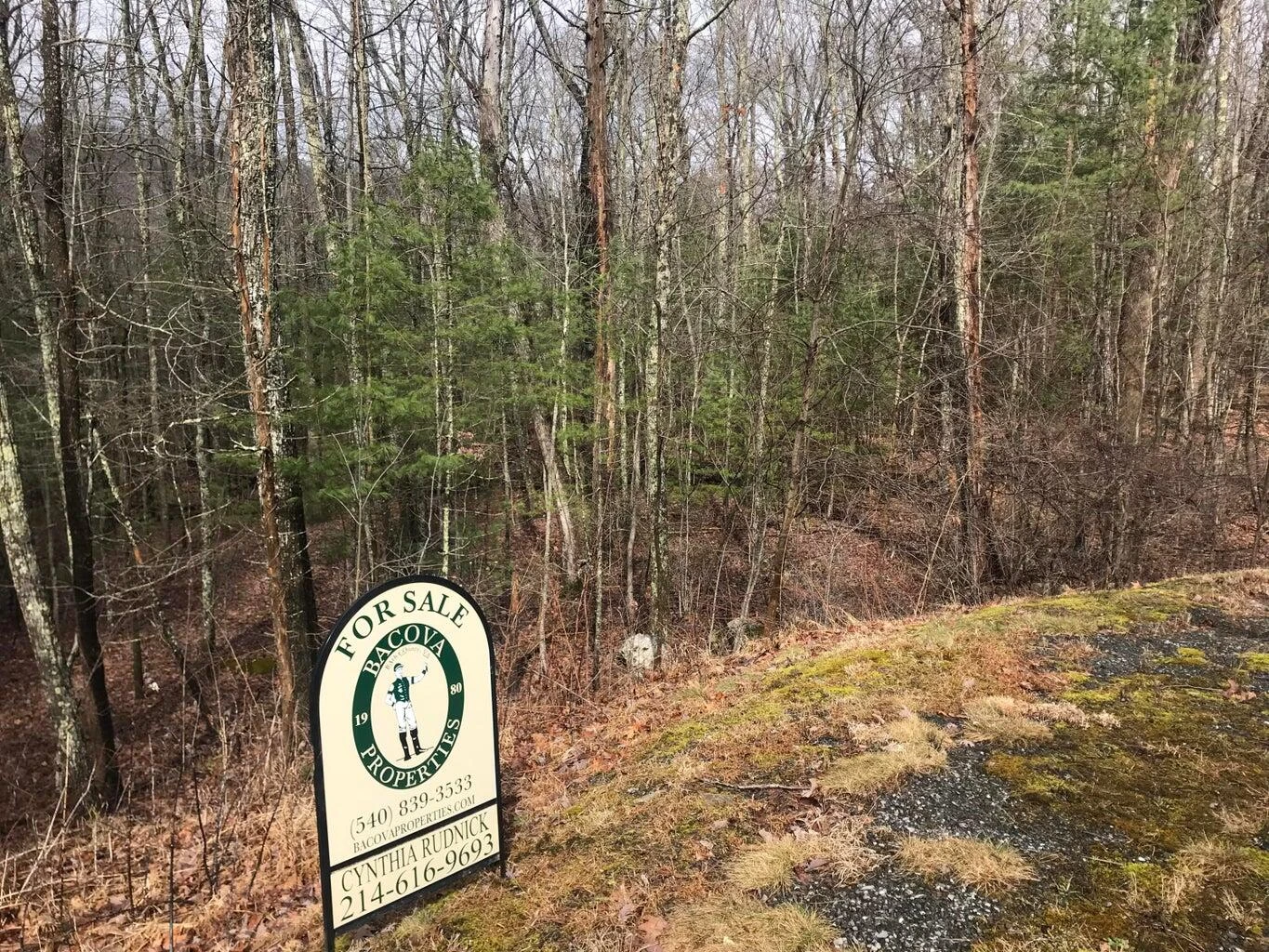Lot # 20 Sheep Meadow Rd - Photo 5