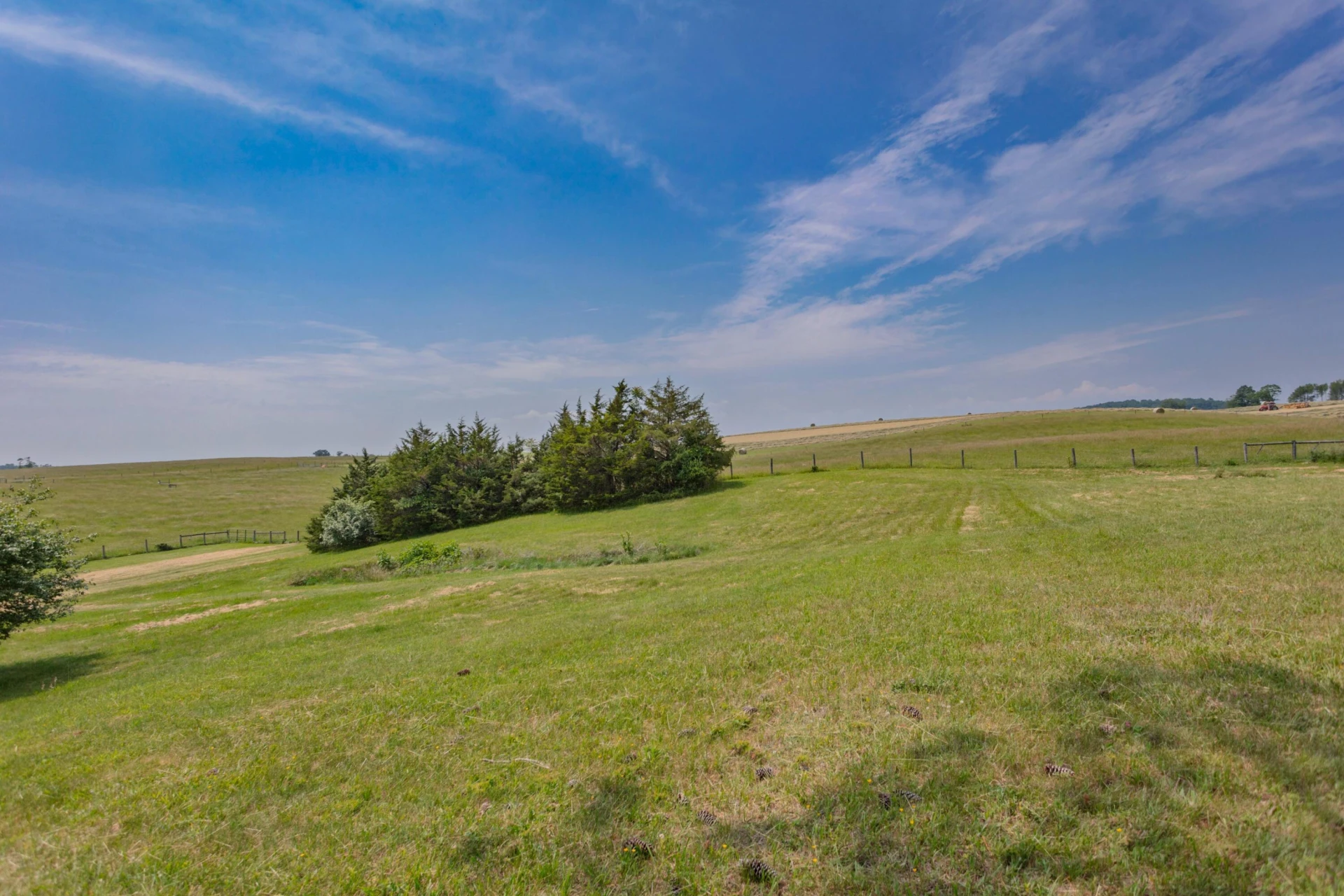 8029 N Lee Highway - Photo 40