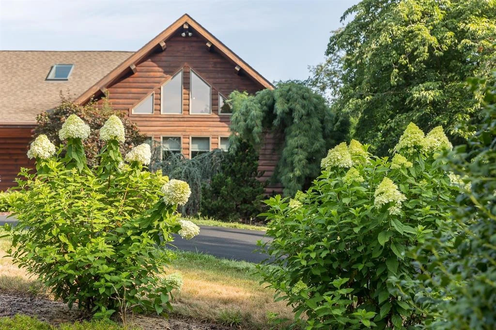 1003 Natural Chimney Rd - Photo 8