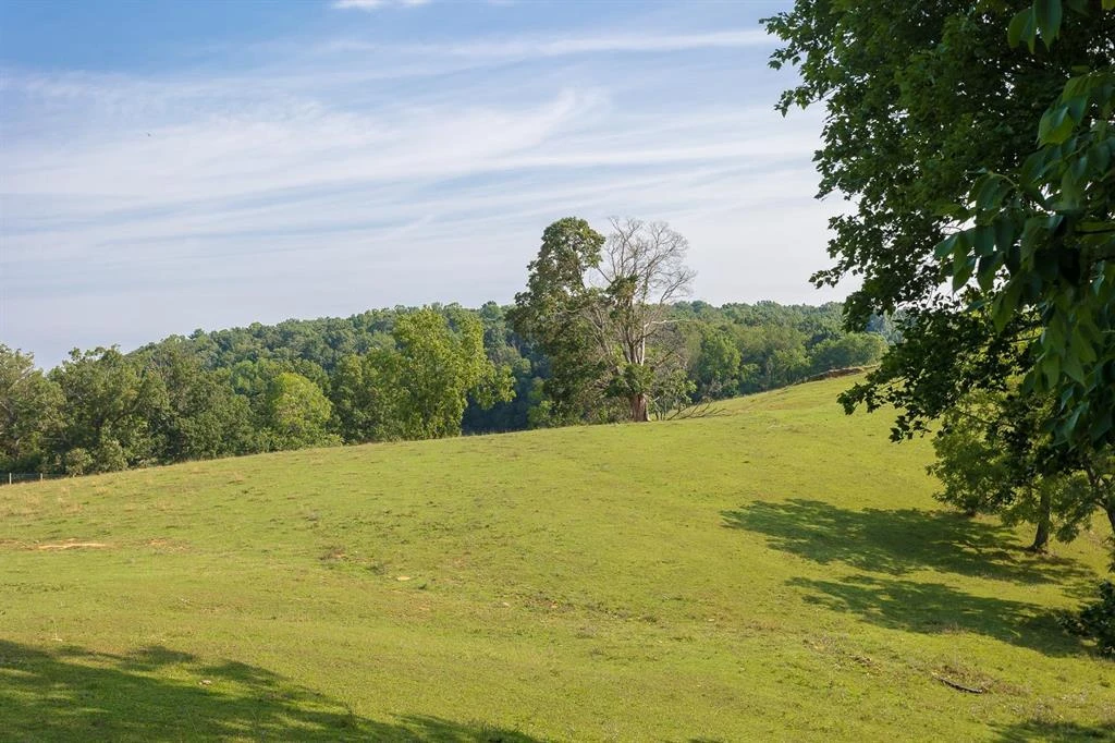1003 Natural Chimney Rd - Photo 9