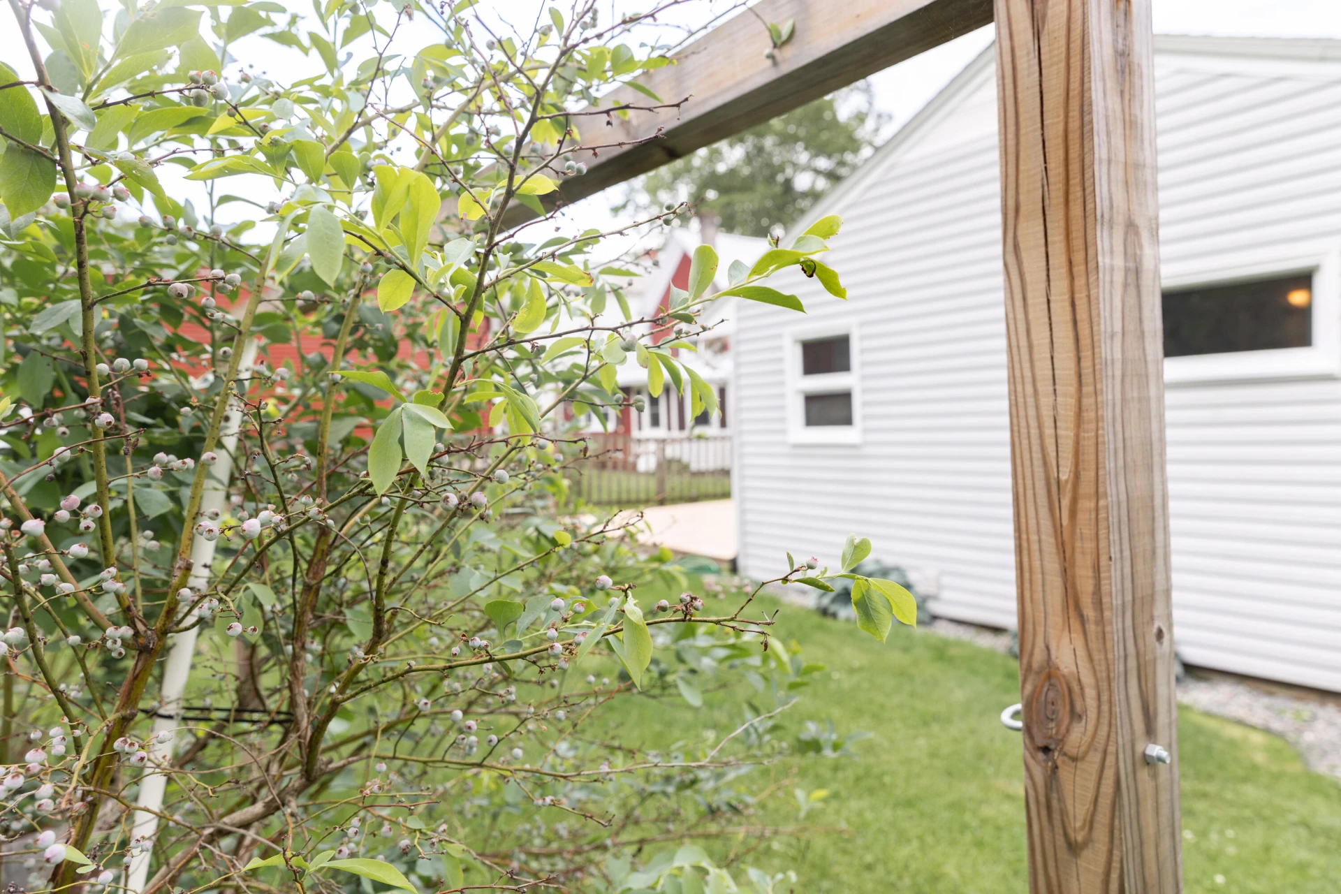 629 Orchard Ave - Photo 36