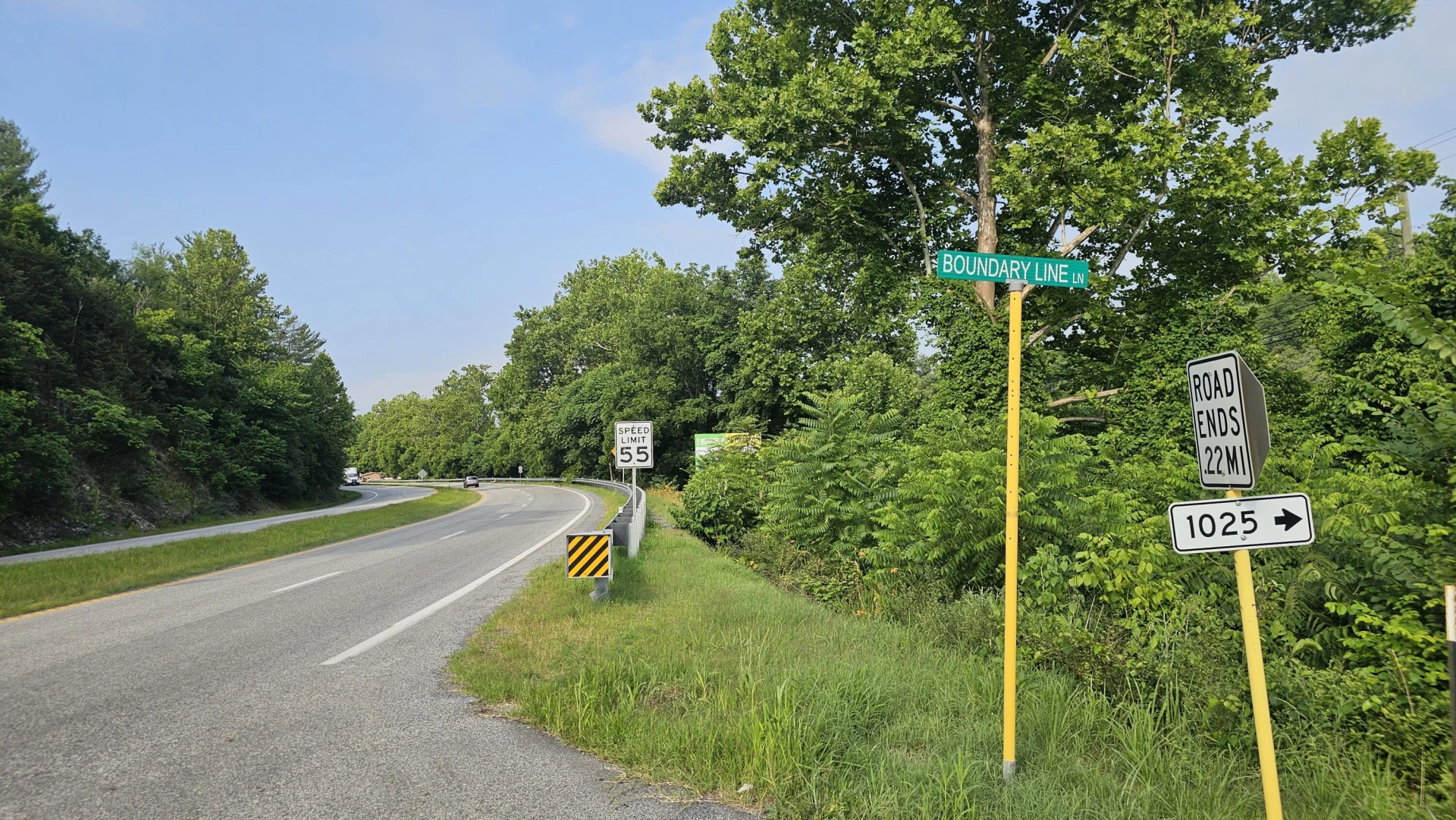 .45 acres Boundary line Ln - Photo 5