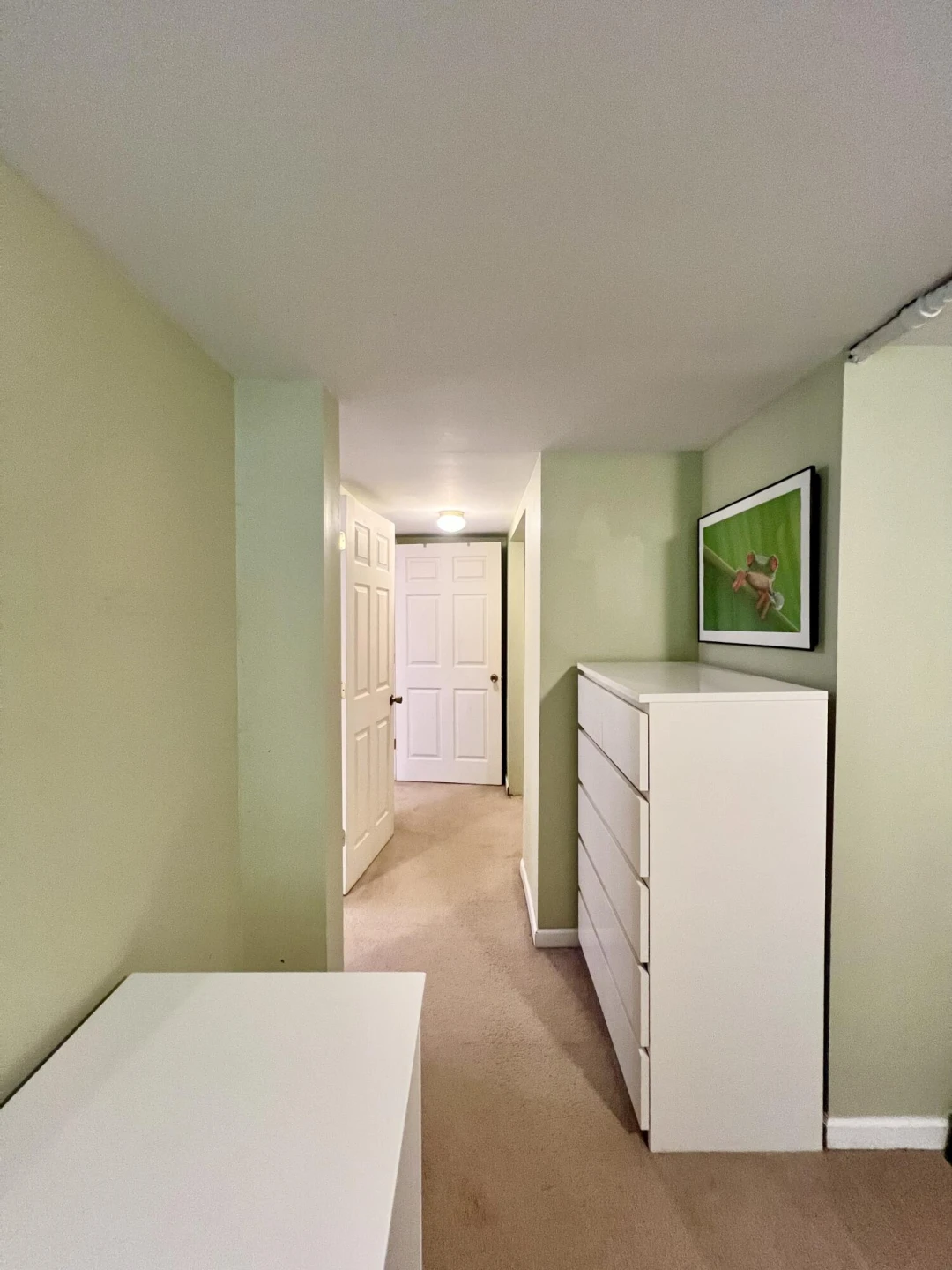 2445 Chestnut Ave - Photo 34