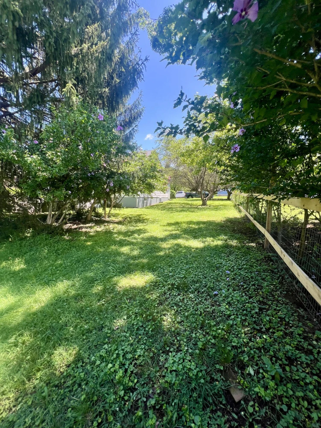 2445 Chestnut Ave - Photo 44