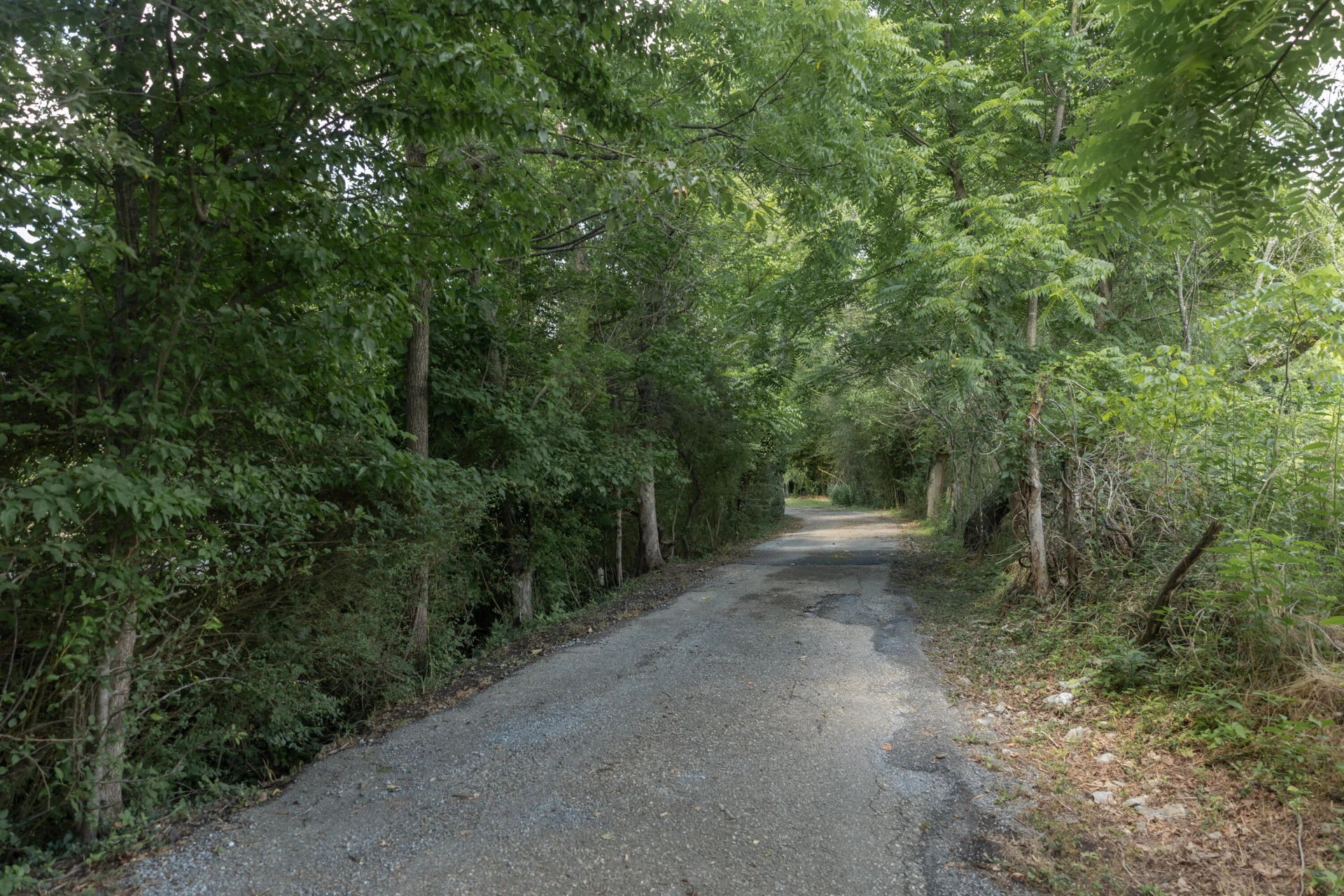 402 Confederate Cir - Photo 56