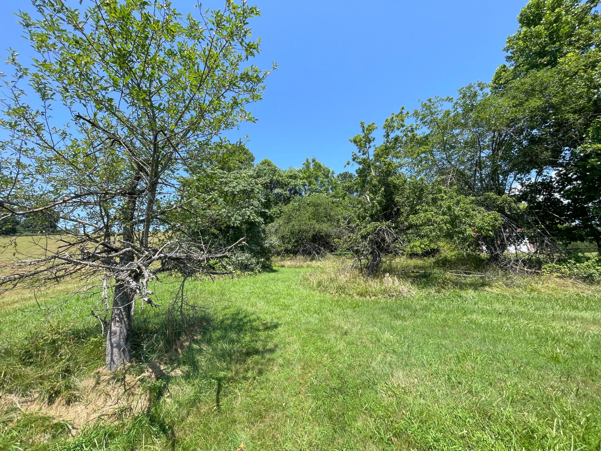 621 Adair Hill Dr - Photo 15