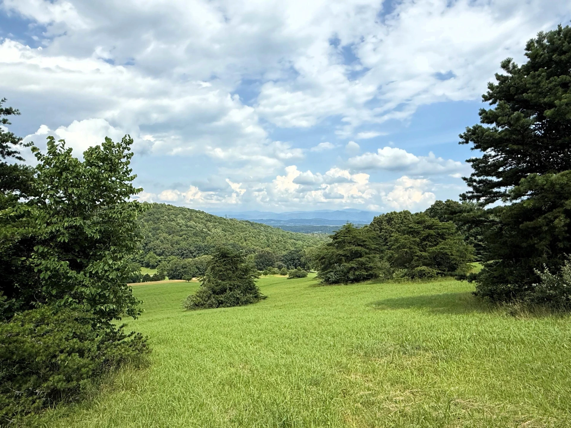 Lot 1 - Shenandoah View Dr - Photo 6