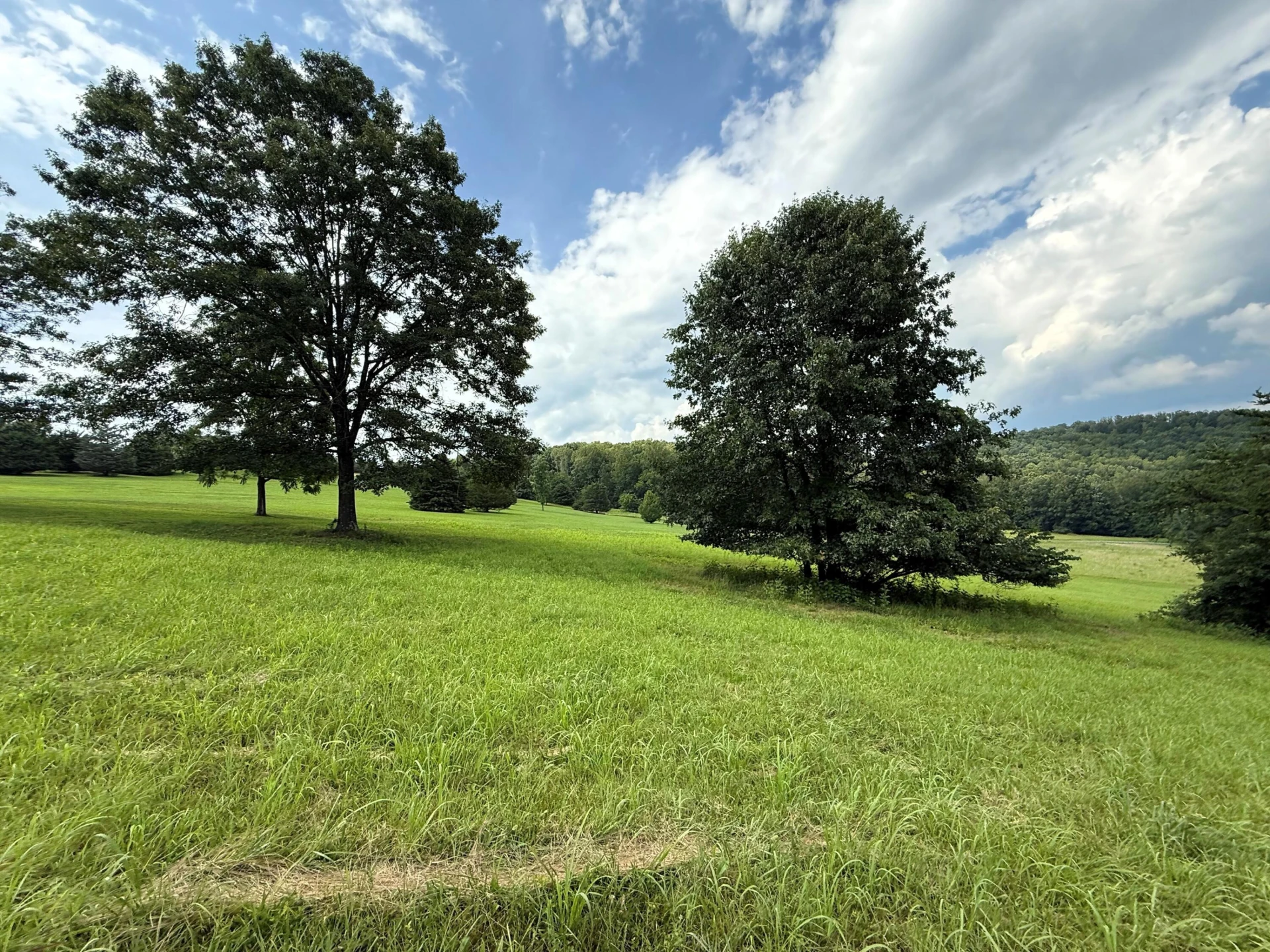 Lot 1 - Shenandoah View Dr - Photo 8
