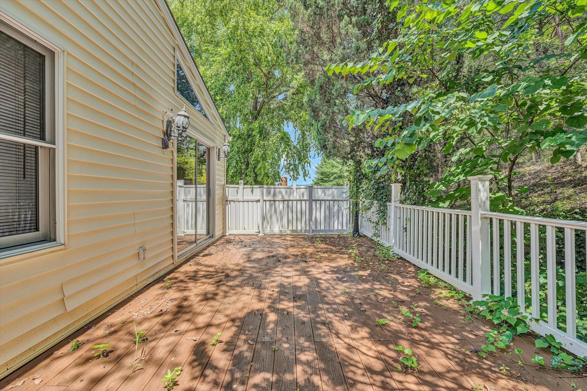 5224 Setter Rd - Photo 24