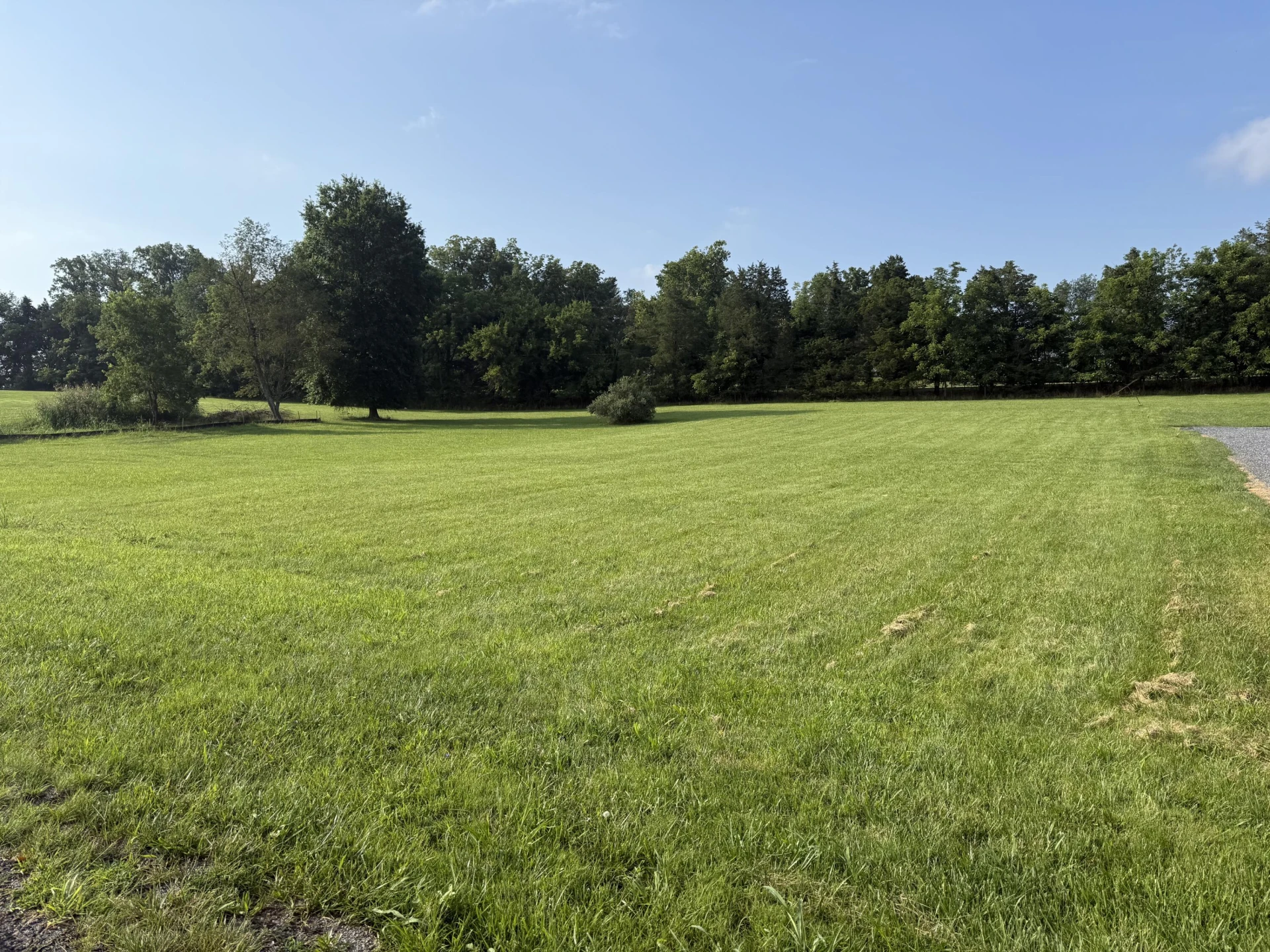 .492 Acres Lilly Bell Ln - Photo 11