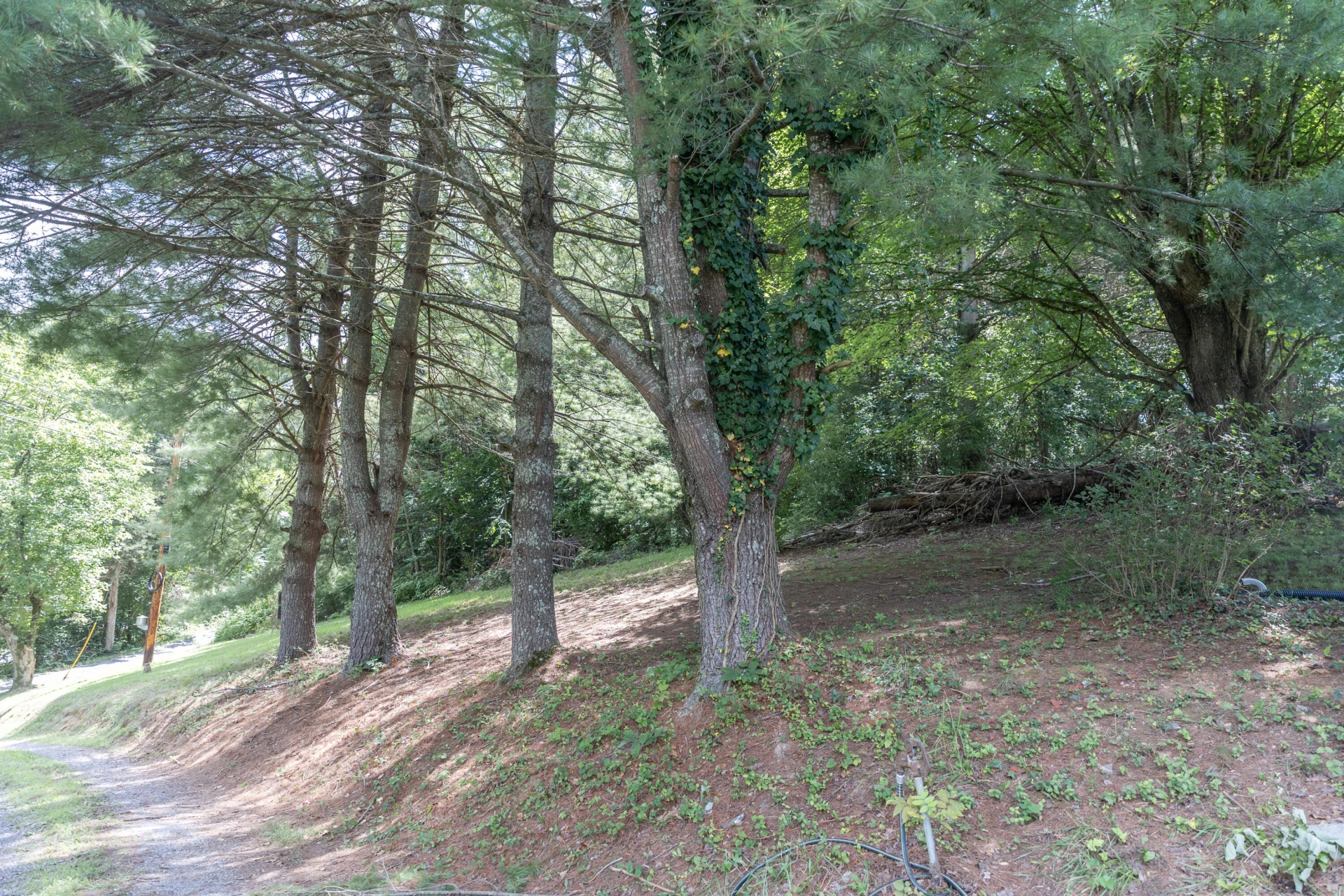 1202 S Lee Highway - Photo 23