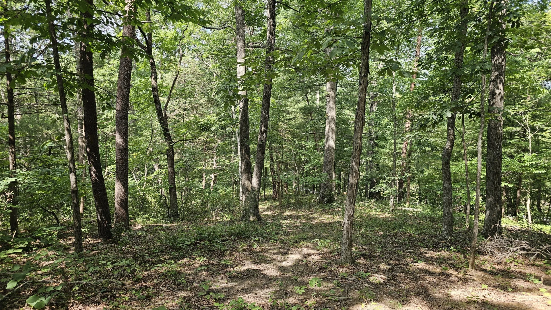 5.3 acres Gravel Ln